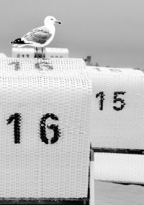 Seemoeve - Strandkorb - St. Peter-Ording